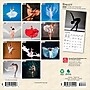 2026 BrownTrout Ballet 7" x 7" Monthly Wall Calendar (9798330702299)~#|#~62DE4C2E-0DCB-4874-94FC125C8F51E590_sc7