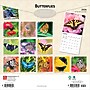 2026 BrownTrout Butterflies 12" x 12" Monthly Wall Calendar (9798330702695)~#|#~63AF6596-AC0A-4E19-B123025B40F5E293_sc7