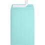 LUX 6 x 9 Open End Envelopesm Seafoam, 50/Box (LUX-1644-113-50)~#|#~6445991D-2BBF-40C5-ACDE155D847B0E60_sc7