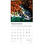 2026 BrownTrout Magic Places 12" x 12" Monthly Wall Calendar (9798330704439)~#|#~64E941DC-25C8-4254-BE1C03A94DB38437_sc7