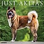 2027 Willow Creek Akitas 12" x 12" Monthly Wall Calendar, Assorted Colors (58664)~#|#~659EE82E-B282-4006-9267CF8A4DA590F8_sc7