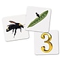 Learning Resources Rhyme & Sort Rockets ~#|#~65C80D44-D348-4DF7-AA9B8116298EA949_sc7
