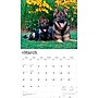 2026 BrownTrout For the Love of German Shepherds 14" x 12" Monthly Wall Calendar (9798330703395)~#|#~65CA559A-1F0A-4233-BD09BE3D3661EDC5_sc7