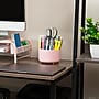 Mind Reader 5-Compartment Rotating Plastic Pen Holder, Pink (SPINPEN-PNK)~#|#~65D8359E-C1CE-46DB-B594A72014026394_sc7