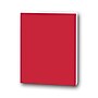 Flipside Foam Board, 20" x 30", Red, 10/Pack (20315-10)~#|#~65E1F098-7DB7-48CC-BA9269CAE6FC6C61_sc7