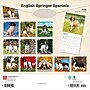 2026 BrownTrout English Springer Spaniels 12" x 12" Monthly Wall Calendar (9798330703227)~#|#~66FC76F3-726C-4952-9DC31325DC9F4A9B_sc7