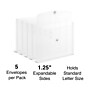 Staples Plastic Filing Envelope with Button & String Closure, Letter Size, Clear, 5/Pack (TR34530)~#|#~676D38D2-4E46-4901-953D90C0F89E4B4F_sc7