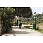 Furloo Steel Outdoor Pet Waste Station Kit with Roll Bag Dispenser, 11.5 Gallon, Green (FLO1R-S-G)~#|#~679FB798-7CC7-44A6-913FBBCFFA38C082_sc7