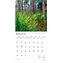 2026 BrownTrout National Parks 12" x 12"  Monthly, Paper Cover, National Parks (9798330704804)~#|#~67A12FBF-F0CF-4238-B57E7CD9D0D15328_sc7