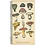 2026-2027 Willow Creek 3.5" x 6.5" Academic Weekly & Monthly Planner, Fungi Files (65860)~#|#~67E762A1-BED6-475E-911FC46DAF6C3182_sc7