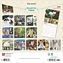 2025 BrownTrout Cat Lovers 12" x 12" Monthly Wall Calendar (9781975476793)~#|#~67F4EFA0-4D64-469D-B19A681490FFA12E_sc7