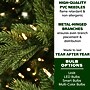 Fraser Hill Farm 7.5 ft. Woodside Pine Artificial Christmas Tree (FFWS075-0GR)~#|#~68DD4889-8FB4-4838-BB3E4D69F52035AF_sc7