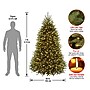 National Tree Company 7' Pre-Lit Dunhill Fir Artificial Christmas Tree (DUH3-300P-70)~#|#~69AFDD0A-6728-4148-8919E7E9F3010A31_sc7