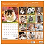 2027 TF Publishing Kittens 12" x 12" Monthly Wall Calendar (27-1013)~#|#~69F8AF1C-D2CE-4315-8C17C022335E9F25_sc7
