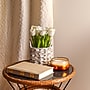 National Tree Company 10" White Tulip Bouquet in White Basket (MT81-10926GWH-1)~#|#~6A785C1F-9E73-4128-84A626729E735EDC_sc7