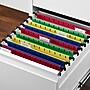 Staples® Hanging File Folder, 5-Tab, Letter Size, Assorted, 20/Box (ST13324/TR13324)~#|#~6A79B8B7-A524-436B-A1532EA5A881A97D_sc7