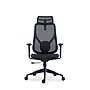 Raynor Group Torque Ergonomic Fabric/Mesh Swivel Manager Chair, Black (TORQUE-BF-BLK)~#|#~6A9F2D3C-B913-4E7C-86AD6A4109C16EC7_sc7