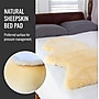 DMI Deluxe Natural Sheepskin Pad, 96"L x 108"W x 1"H, Beige (559-8079-0000)~#|#~6B834CB0-C3B2-4FA5-8C2413C977C4BEEF_sc7