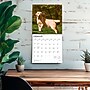 2026 BrownTrout Yellow Labrador Retrievers 12" x 12" Monthly Wall Calendar (9798330704262)~#|#~6BA76057-E465-47B6-9CC8D334FCB9A5F2_sc7