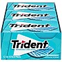 Trident Sugar Free Wintergreen Gum, 16 oz., 14 Pieces/Pack, 12/Pack (304-00058)~#|#~6C7D5EB8-4228-4D10-B35CBB39191B2E88_sc7