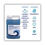 Boardwalk® Industrial Strength Glass Cleaner with Ammonia, 1 Gal Bottle, 4/Carton~#|#~6CD309B0-E55C-4A50-98FF46269CBAB863_sc7