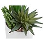Monarch Specialties Inc. Succulents in Pots, 2/Pack (I 9588)~#|#~6CE8C3D6-8988-45B7-A64E41472E7D237A_sc7