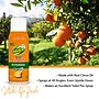OdoBan Real Citrus Air Freshener Spray, 10 oz., Orange Scent (9793D70-10A)~#|#~6D8AEAEE-E03A-4A43-B7D34CC9040F1D3E_sc7