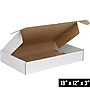 White Deluxe Literature Mailers 18" x 12" x 3", 25/Bundle~#|#~6DB17E13-9240-43A6-BF66CFFCF52AB4E8_sc7