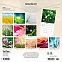 2026 Brush Dance Simplicity 12" x 12" Monthly Wall Calendar (9798330705627)~#|#~6DCB9AE5-39A6-4213-B8A4E8A4693B7D24_sc7