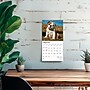 2026 BrownTrout Bulldog Puppies 7" x 7" Monthly Wall Calendar (9798330702657)~#|#~6E1265D6-A6EB-44C2-ABB45F7BA4FBC435_sc7