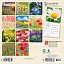 2026 BrownTrout Wildflowers 7" x 7" Monthly Wall Calendar (9798330706358)~#|#~6E9029CE-C9FA-48FB-B8F200CCB1B25EDB_sc7