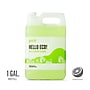 Perk Eco All-Purpose Cleaner Refill, Ready to Use, 1 Gallon (PK641001-A)~#|#~6EB6C73B-5EA6-4873-92C84BC7DFD83181_sc7