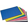 Prang 12" x 18" Construction Paper, Assorted Colors, 50 Sheets/Pack (PAC6507)~#|#~6EEFC5EE-B8B1-400A-815C503026B01678_sc7