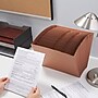Staples Accordion File, Numerical Index, 31-Pocket, Letter Size, Brown (ST119107)~#|#~6F3342B8-C25A-4D95-82D119395E00A457_sc7