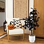 Nearly Natural Artificial Halloween Black Oak Tree, 4' (T5192)~#|#~6F975132-D710-465F-9BEDB2A2AE535E79_sc7
