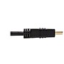 Tripp Lite HDMI to DVI-D Audio/Video Adapter, Male to Male, Black (TRPP566010)~#|#~6FDDACE2-67ED-45AE-90A3105969002804_sc7
