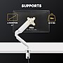 Fellowes Platinum Series Adjustable Monitor Arm, Up to 40" Monitor, White (8056201)~#|#~700C918E-F968-46AE-B212F4BFE5CFE303_sc7