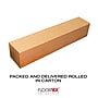 Floortex Valuemat Plus Chair Mat, 48" x 60", Designed for Low-Pile Carpet, Clear Polycarbonate (FR1115020ER)~#|#~7023F328-E4B4-4142-82FE2E57B736291A_sc7