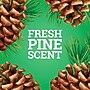 Pine-Sol Disinfecting Multi-Surface Cleaner Degreaser, Original Pine, 80 Fl. Oz. (60606)~#|#~7025C3EC-25AD-45FD-95BB763756D24DCB_sc7