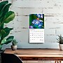 2026 BrownTrout Wildflowers 7" x 7" Monthly Wall Calendar (9798330706358)~#|#~70260C9C-FE71-4286-B4E8119D136E9C73_sc7