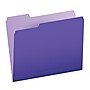 Pendaflex File Folder, Letter Size, Violet, 100/Box (PFX 4210 1/3 VIO)~#|#~s0184124_sc7