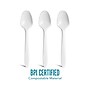 Perk™ Eco Compostable PLA Spoon, Medium-Weight, White, 300/Pack (PK56203)~#|#~7081F08C-102C-4D96-944245DCD602A85A_sc7