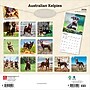 2026 BrownTrout Australian Kelpies 12" x 12" Monthly Wall Calendar (9798330702206)~#|#~70826884-3451-4452-BCCCAC8B630F3662_sc7