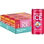 Sparkling Ice Mini Fruit Punch Flavored Sparkling Water, 7.5 fl. oz., 30 Cans/Carton (FG00619)~#|#~70FB8B67-1979-4DB0-994833102CB05B2A_sc7