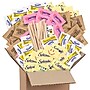 Snack Box Pros Sugar and Sweetener Variety Pack, 325/Pack (700-00183)~#|#~7101572E-FFAE-435C-BADB1F96B355D360_sc7