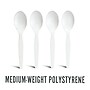 Perk™ Polystyrene Spoon, Medium-Weight, White, 300/Pack (PK56400)~#|#~71105DC7-2652-4DD1-83005C661B8FF026_sc7