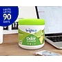 Bright Air Air Freshener Gel, Zesty Lemon & Lime, 6/Carton (BRI901292CT)~#|#~723BA40F-D897-4406-8B9193FC5342EBA9_sc7