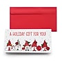 Great Papers Gnome Holiday Money Cards Stationary Kit, 12/Pack (2025048)~#|#~72461118-C5EC-40B0-B7ADC50558D84066_sc7