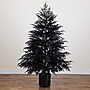 Nearly Natural Artificial Halloween Real Touch Black Norfolk Pine Christmas Tree, 6' (T5244)~#|#~72BD9666-EF46-4A13-B414601398814EED_sc7
