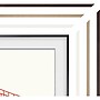 Samsung Frame Customizable Bezel TV Accessory Compatible with 50" Frame TV (VG-SCFA50WTBZA)~#|#~72C9B118-900A-4EB2-A5B0AD81E36F25C5_sc7